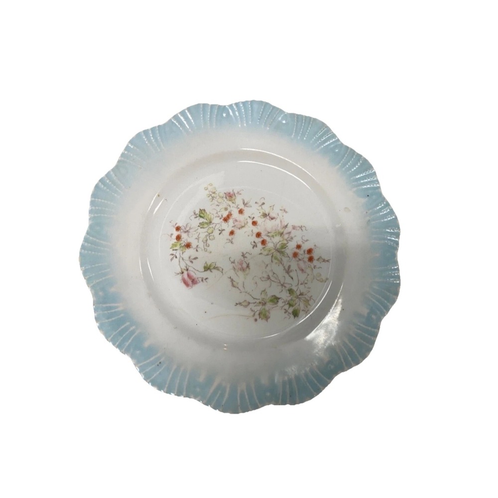 Vintage Plate with Roses in Center and Blue Edges Limoges Coronet
